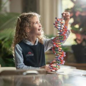 一位Dayspring的学生正在研究DNA结构模型